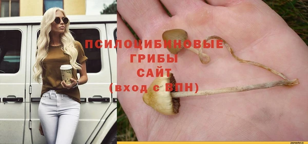 экстази Алексеевка