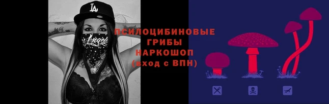 кокс Абинск