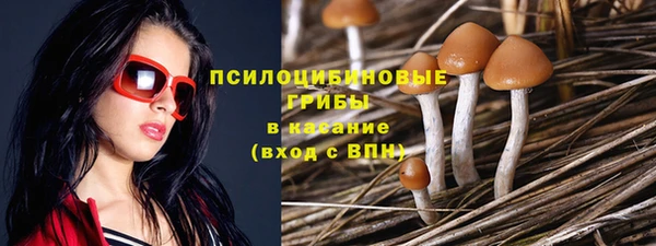 соль курить ск Алзамай
