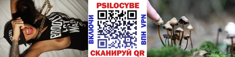 Галлюциногенные грибы прущие грибы  дарнет шоп  Козловка 